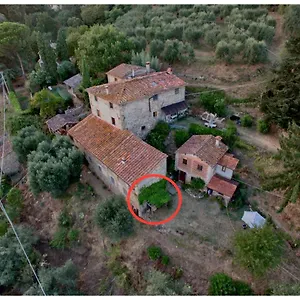 L'orto Dei Bruchi , Collodi Italia