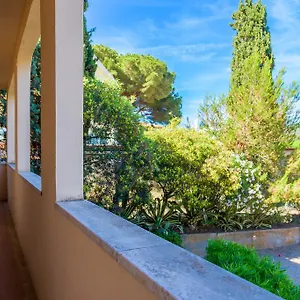 Arancio , Procchio (Isola d'Elba) Italia